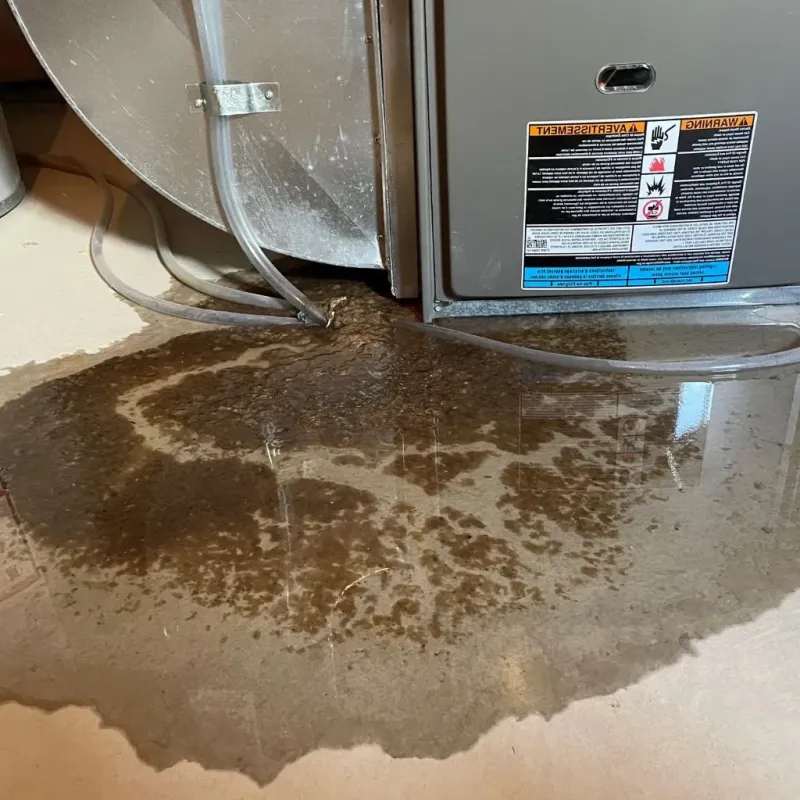 Pipe Burst and Leak Restoration in Bryn Mawr, PA